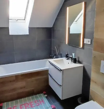 Apartman Pod Jestedem * Liberec